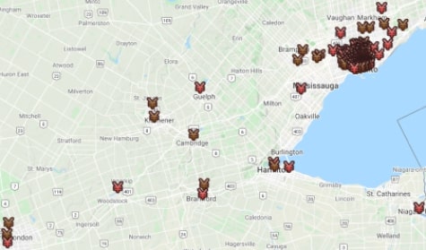 Graph of Rogers 5G sites in Southern Ontario